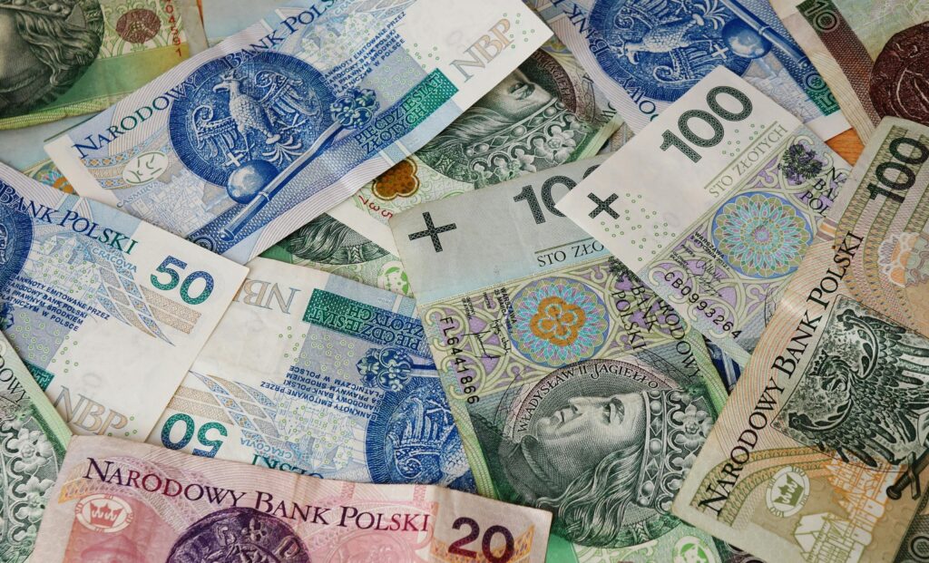Diverse array of Polish banknotes showcasing various denominations and intricate designs.